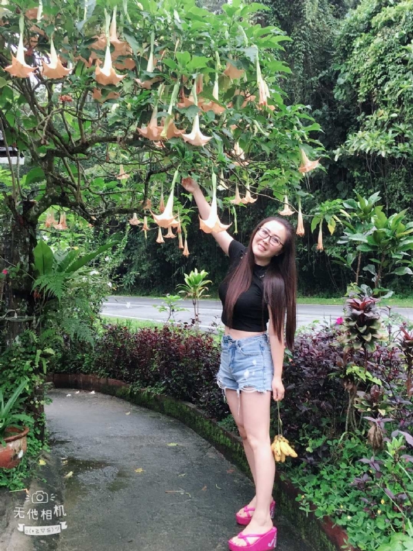 离异单身无子的第二张照片--济南相亲服务中心