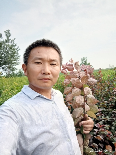 孩子爸的第一张照片--济南相亲服务中心