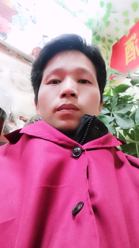 单身的林凡的第一张照片--济南相亲服务中心