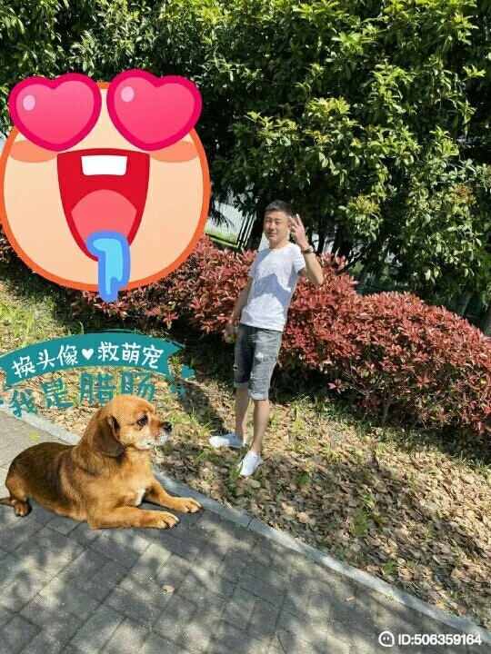 我若不坚强谁替我勇敢的第一张照片--济南相亲服务中心