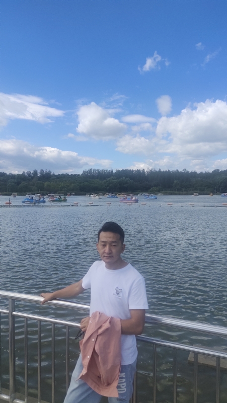脱了壳的龟的第一张照片--济南相亲服务中心