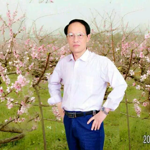 枫叶的第一张照片--济南相亲服务中心